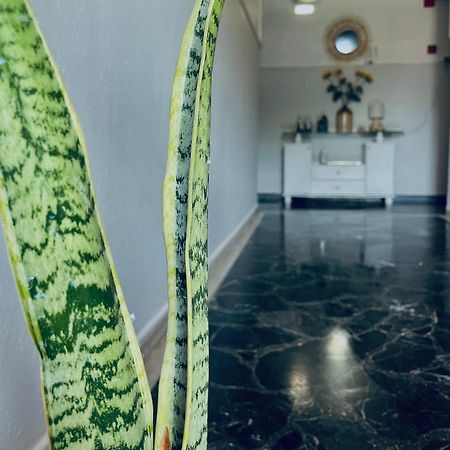 Aktaion Hotel Skala Alykis Eksteriør billede