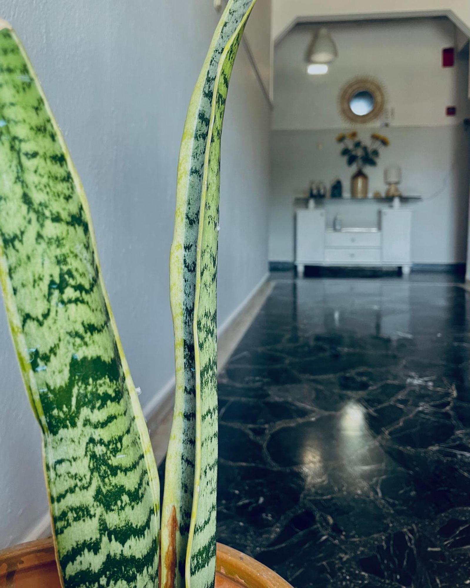 Aktaion Hotel Skala Alykis Eksteriør billede